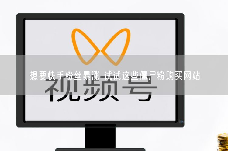 想要快手粉丝暴涨 试试这些僵尸粉购买网站